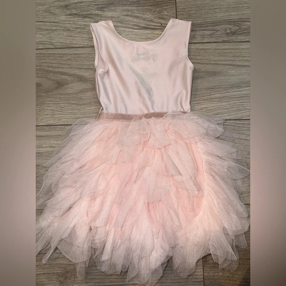 Disney Pink Princess Tulle tutu dress - Picture 4 of 4